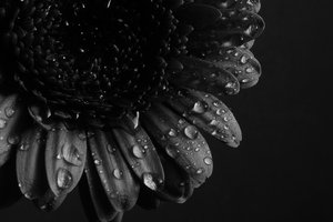 Photo by Habter on deviantART