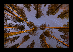 Rotate II by FatalBite on deviantART